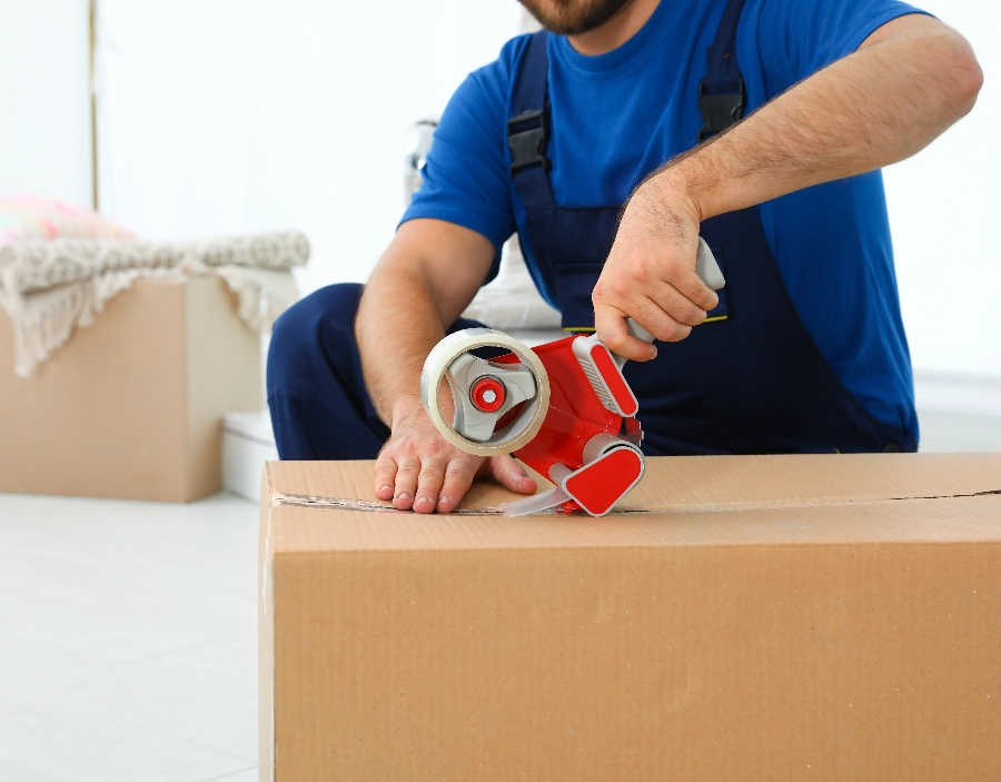 Image of tec nut single websites demo Packaging & Boxing Need a new company website?: sample website, Website, site for small business, custom website design company, Hosting, website design for small business, small business website, company website design, Easy Website, websites for start-ups, WordPress